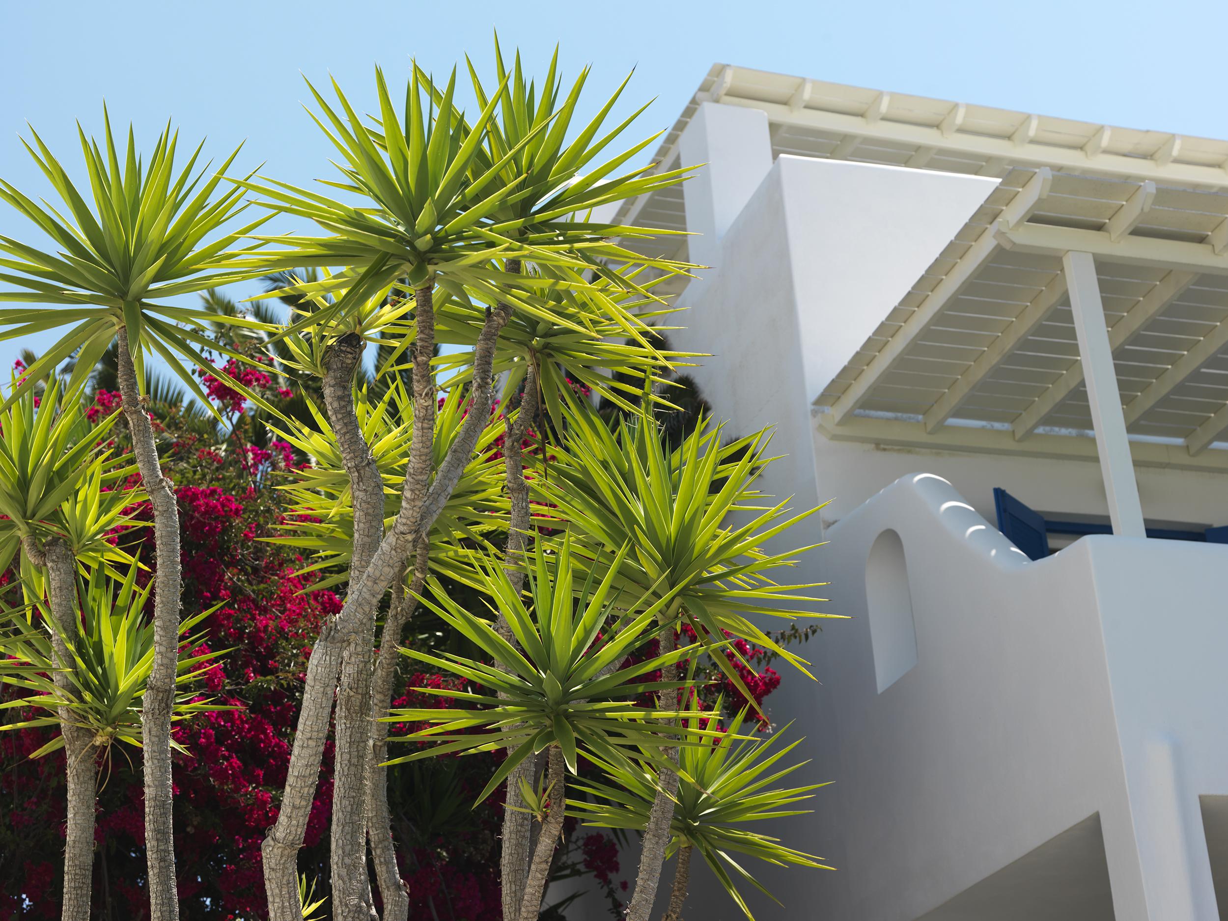 Aloni Hotel & Suites Piso Livadi Ngoại thất bức ảnh